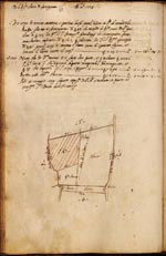 Libri delle Divisioni